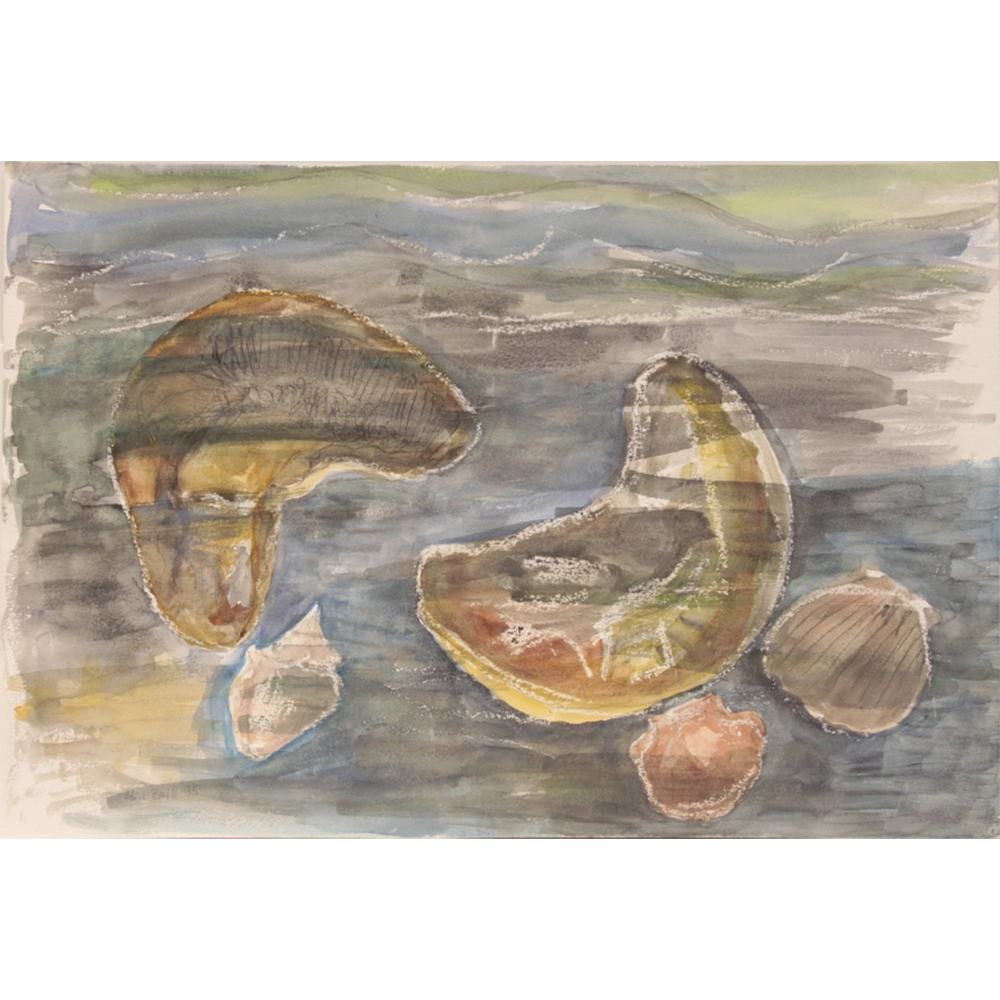 Alice Brill - Sem título. Aquarela e grafite sobre papel, 37x55 cm, 1995