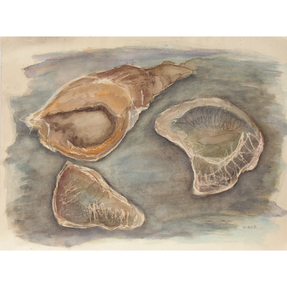 Alice Brill - Sem título. Aquarela e pastel sobre papel, 52x69 cm, 1996