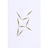 Waltercio Caldas - Sem título 60/60. Serigrafia, 70x48 cm