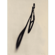 Regina Silveira - Série Voodoo 2 25/50. Gravura em metal, 70x50 cm, 2015