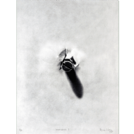 Regina Silveira - Série Voodoo 1 25/50. Gravura em metal, 70x50 cm, 2015