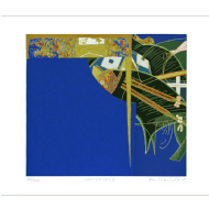 Kazuo Wakabayashi - Kanzashi x/100. Serigrafia, 47x50 cm, 2009