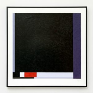 Eduardo Sued - Sem título x/100. Serigrafia, 72x80 cm, 2011