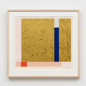 Eduardo Sued - Sem título x/100. Serigrafia, 70x82 cm, 2010