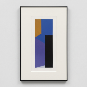 Eduardo Sued - Sem título 65/100. Serigrafia, 80x35 cm, 2013.