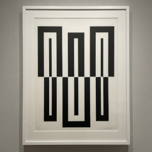Rubens Ianelli - Sem título 7/60. Serigrafia 100x70 cm, 2015